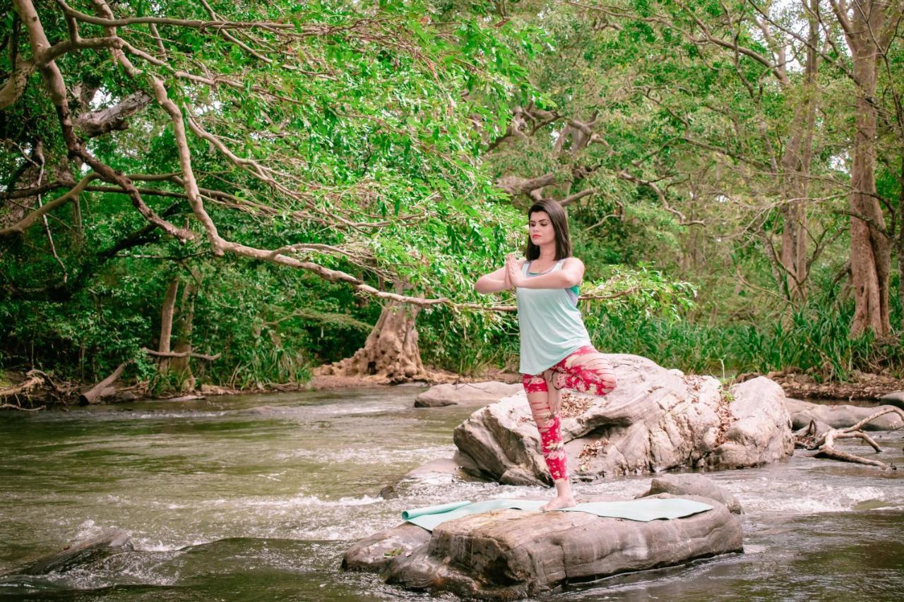 Sayon River Cottage & Eco Garden Monaragala المظهر الخارجي الصورة