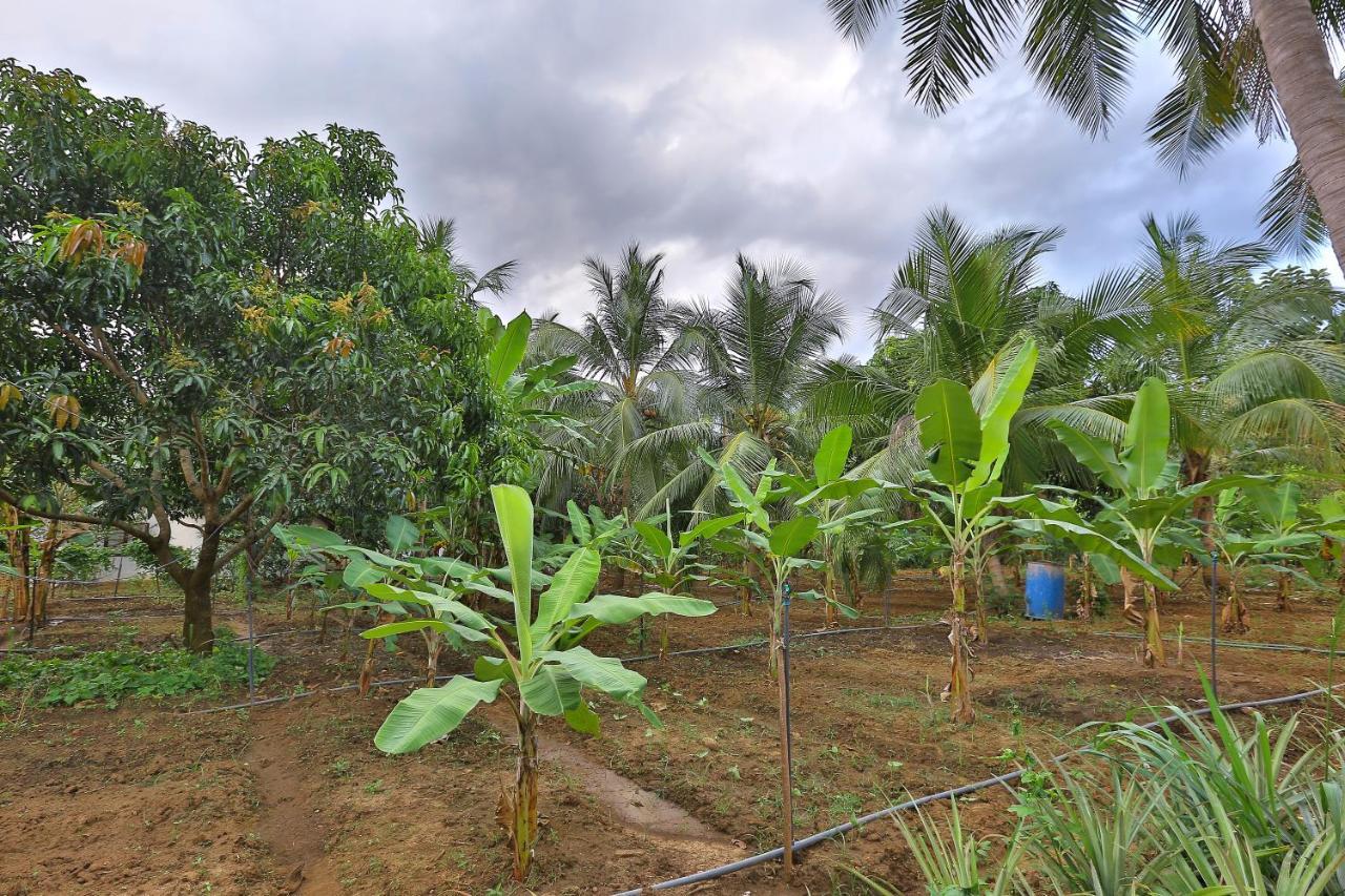 Sayon River Cottage & Eco Garden Monaragala المظهر الخارجي الصورة