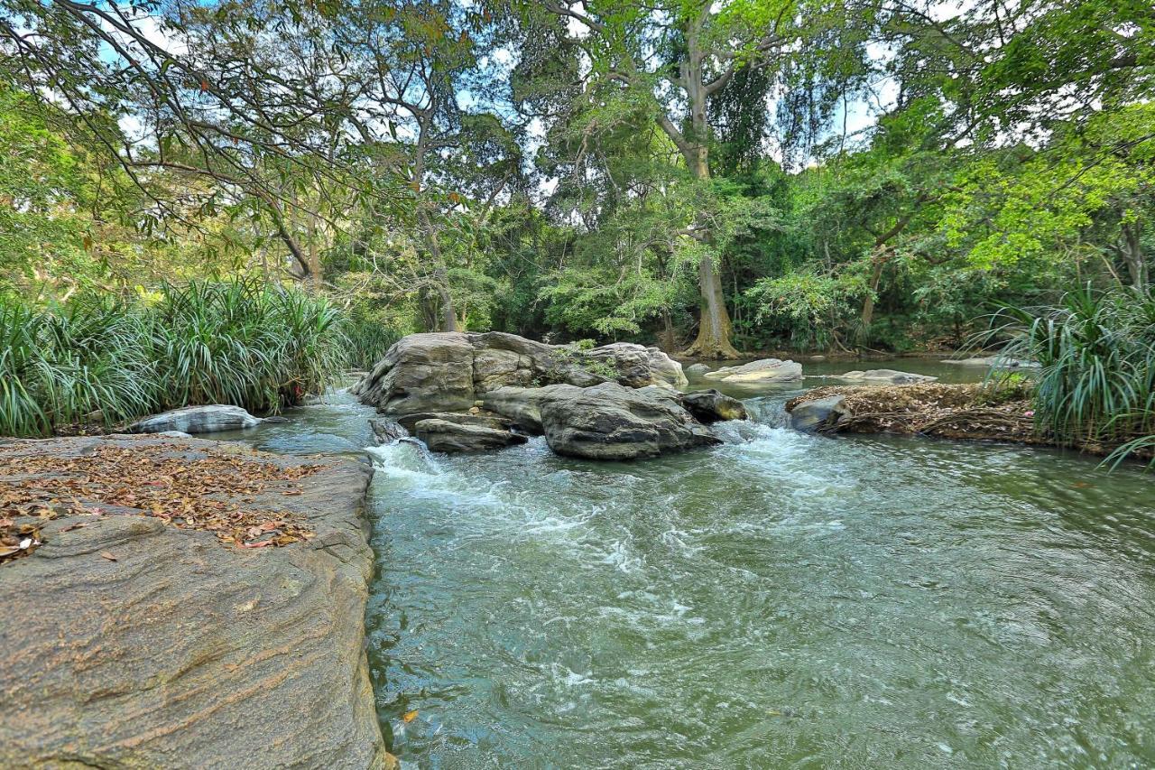 Sayon River Cottage & Eco Garden Monaragala المظهر الخارجي الصورة